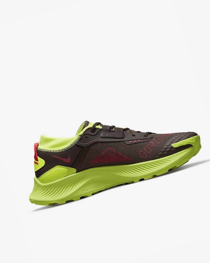 Zapatillas De Trail Running Nike Pegasus Trail 3 GORE-TEX Hombre Chocolate Oscuro Rojas Claro | AR2838