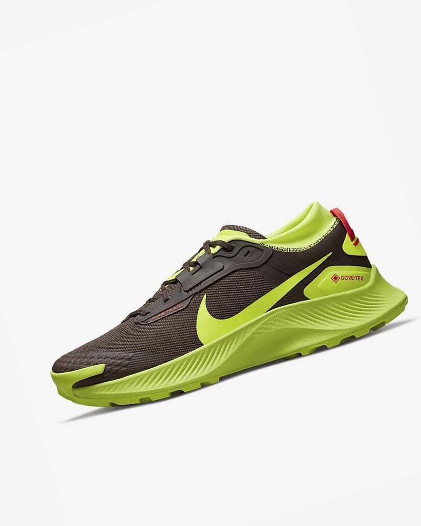 Zapatillas De Trail Running Nike Pegasus Trail 3 GORE-TEX Hombre Chocolate Oscuro Rojas Claro | AR2838