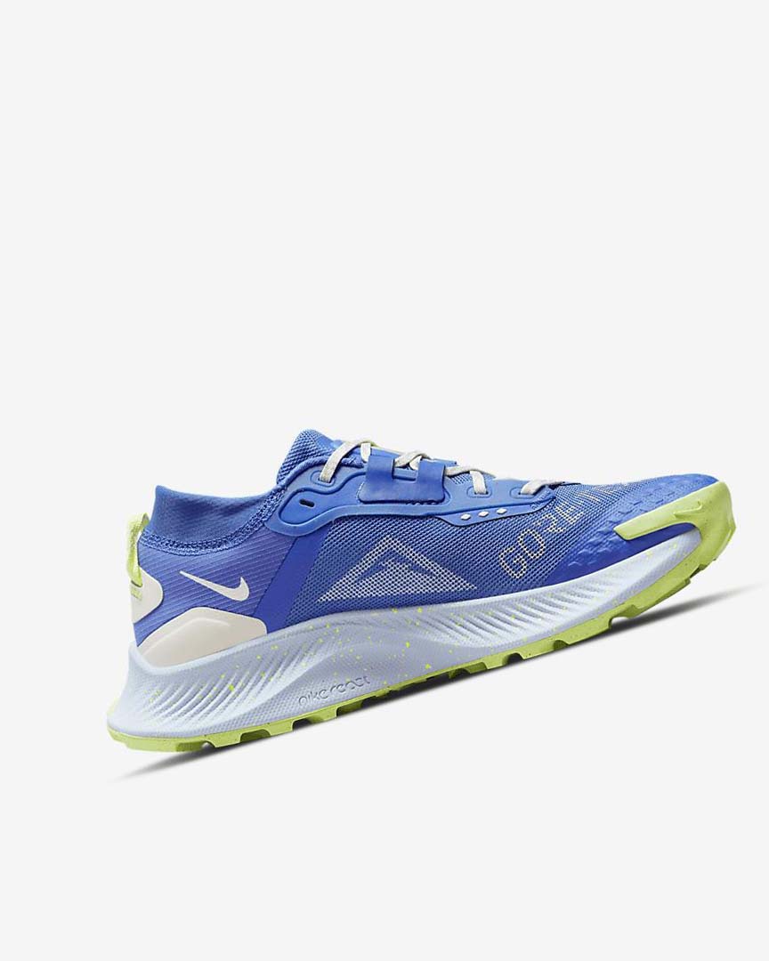 Zapatillas De Trail Running Nike Pegasus Trail 3 GORE-TEX Impermeables Mujer Azules Marrones Gris | AR4924