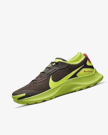 Zapatillas De Trail Running Nike Pegasus Trail 3 GORE-TEX Hombre Chocolate Oscuro Rojas Claro | AR2838