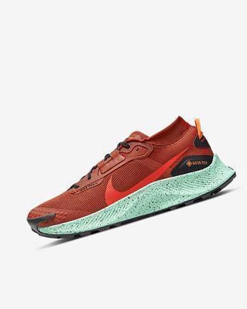 Zapatillas De Trail Running Nike Pegasus Trail 3 GORE-TEX Impermeables Hombre Naranjas Negras Naranjas Rojas | AR2930