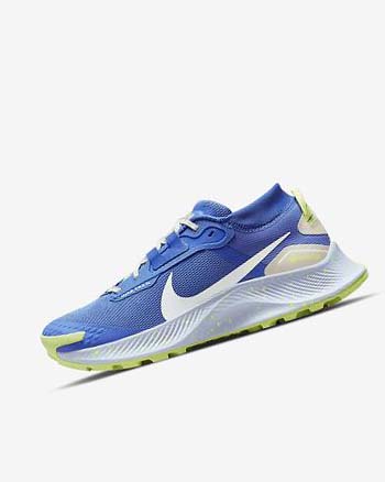 Zapatillas De Trail Running Nike Pegasus Trail 3 GORE-TEX Impermeables Mujer Azules Marrones Gris | AR4924