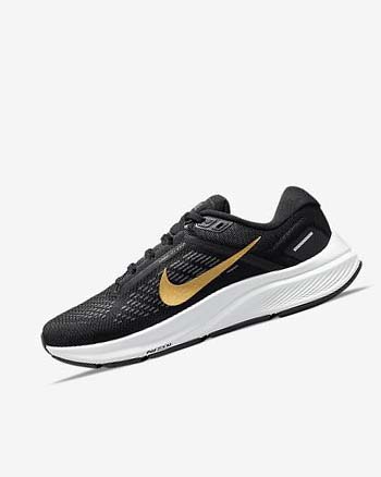 Zapatillas Running Nike Air Zoom Structure 24 Mujer Negras Gris Oscuro Metal Doradas | AR2848