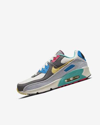 Zapatos Casuales Nike Air Max 90 Niño Gris Rosas | AR3103